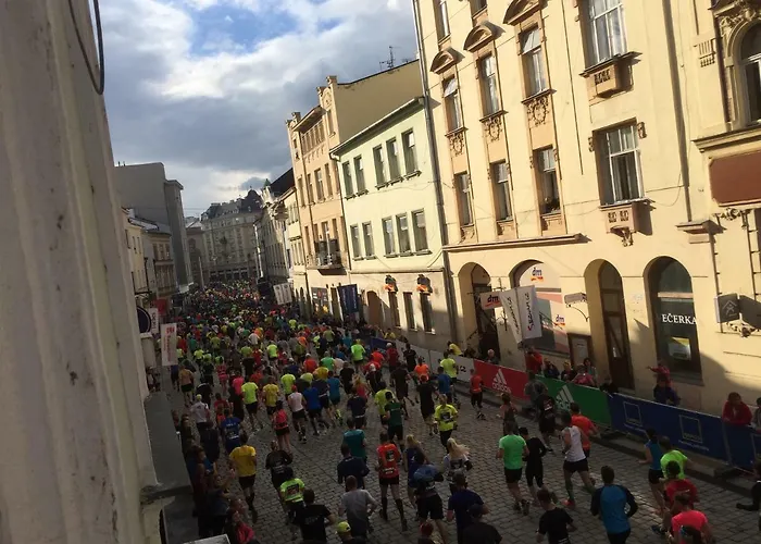 Old Town R11 * Olomouc